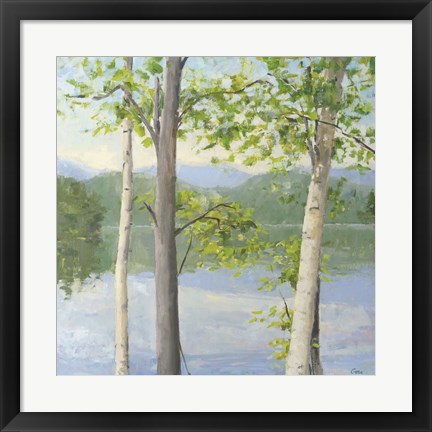 Framed Cooper Lake II Print