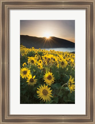 Framed Columbia River Gorge Sunrise Print