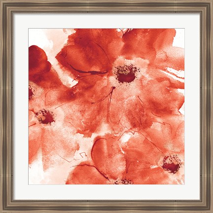 Framed Seashell Cosmos I Red and Orange Print