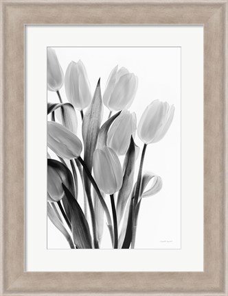 Framed Shadows and Light II Print