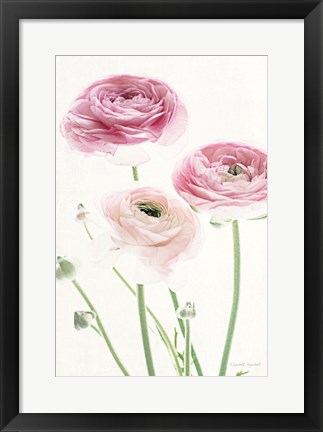 Framed Light and Bright Floral VI Print