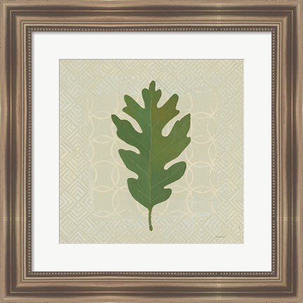 Framed Forest Leaves II no Lines Print