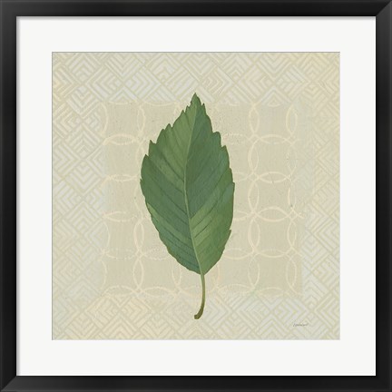 Framed Forest Leaves III no Lines Print