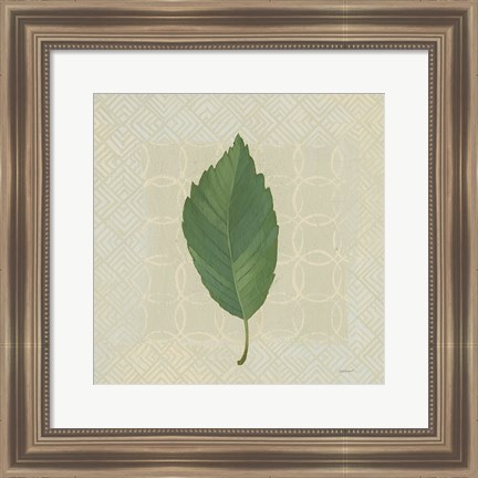 Framed Forest Leaves III no Lines Print