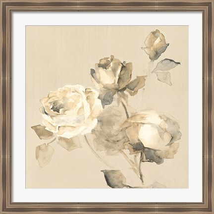 Framed Rose Blossoms Crop Print