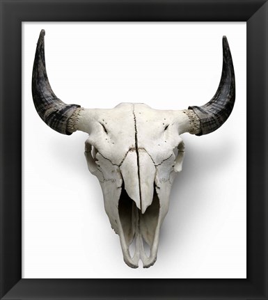 Framed Cow Skull Print