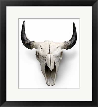 Framed Cow Skull Print