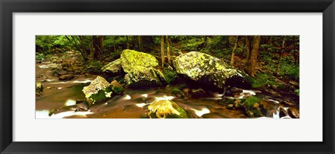 Framed Stream flowing through a Forest, Great Smoky Mountains National Park, Tennessee Print