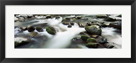 Framed Rocks in Little Pigeon River, Great Smoky Mountains National Park, Tennessee Print