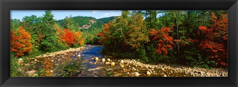 Framed River flowing through a Forest, Swift River, White Mountain National Forest, New Hampshire Print