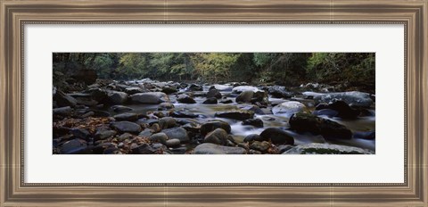 Framed Rocks in a River, Great Smoky Mountains National Park, Tennessee Print