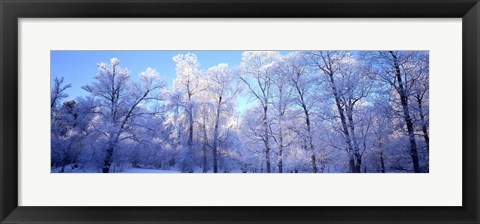 Framed Park in Stockholm Sweden Print