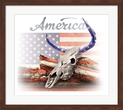 Framed America on White Print