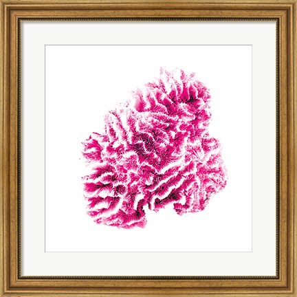 Framed Pink Sea Print