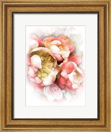 Framed Peach Peony II Print