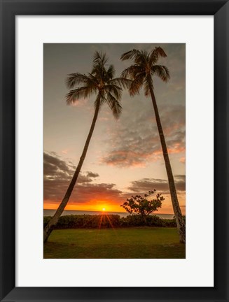 Framed Sunset Palms II Print