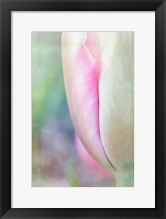 Framed Spring Beauty II Print