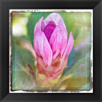 Framed Spring Bud Print