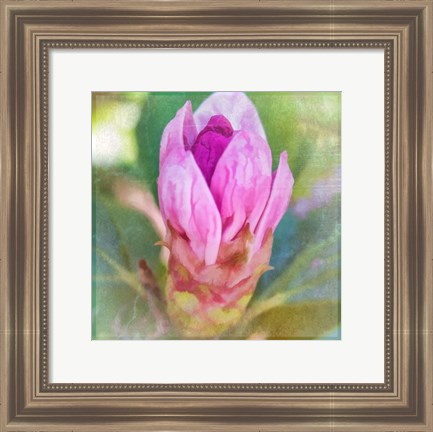 Framed Spring Bud Print