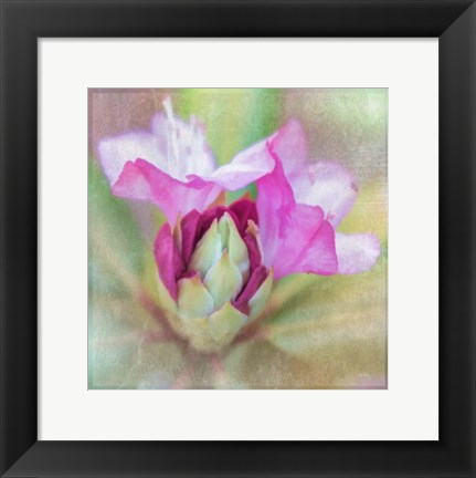 Framed Spring Budding Print