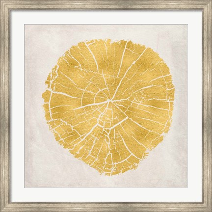 Framed Tree Stump Golden IV Print
