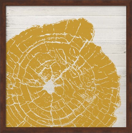 Framed Tree Rings I Print