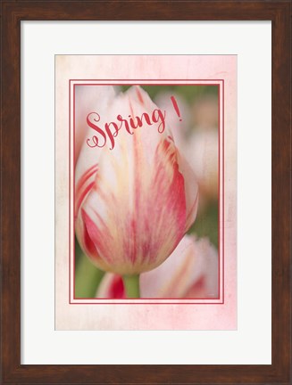 Framed Spring! Print