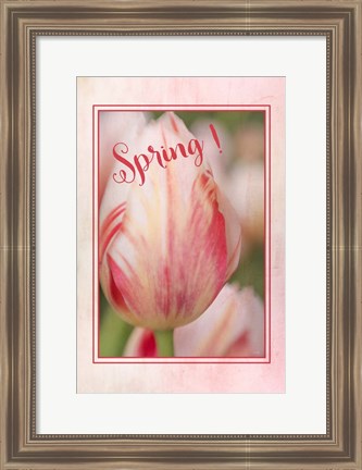 Framed Spring! Print