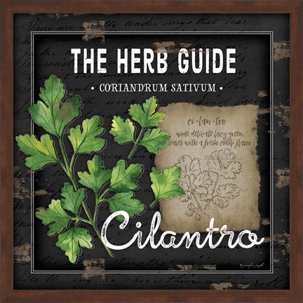 Framed Herb Guide Cilantro Print