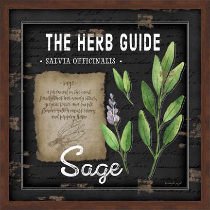Framed Herb Guide Sage Print