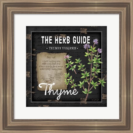 Framed Herb Guide Thyme Print