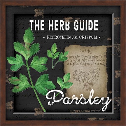 Framed Herb Guide Parsley Print