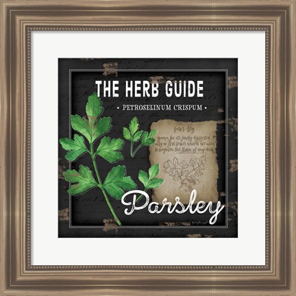 Framed Herb Guide Parsley Print