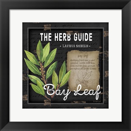 Framed Herb Guide Bay Leaf Print