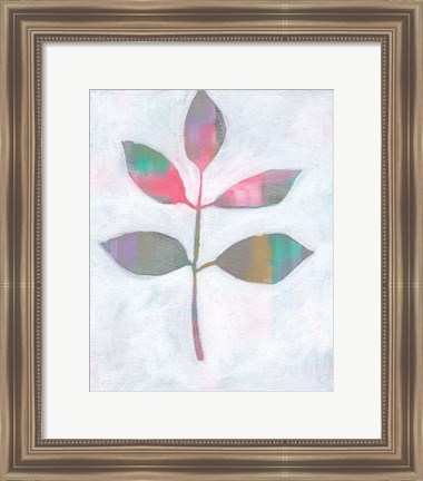 Framed Leaf Abstract III Print