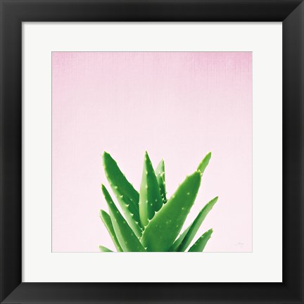 Framed Succulent Simplicity V on Pink Print