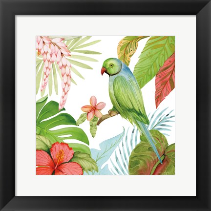 Framed Treasures of the Tropics VII Print