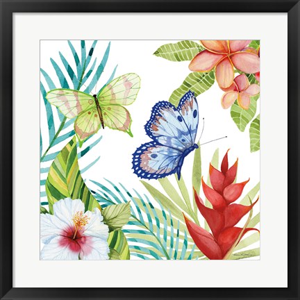 Framed Treasures of the Tropics VI Print