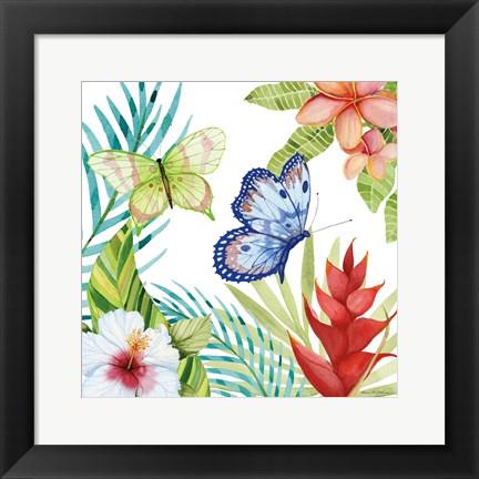 Framed Treasures of the Tropics VI Print