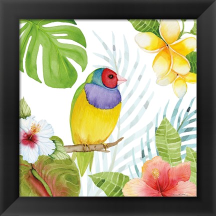 Framed Treasures of the Tropics V Print