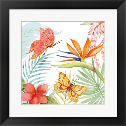 Framed Treasures of the Tropics IV Print