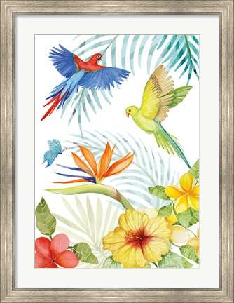 Framed Treasures of the Tropics II Print