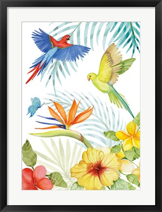 Framed Treasures of the Tropics II Print