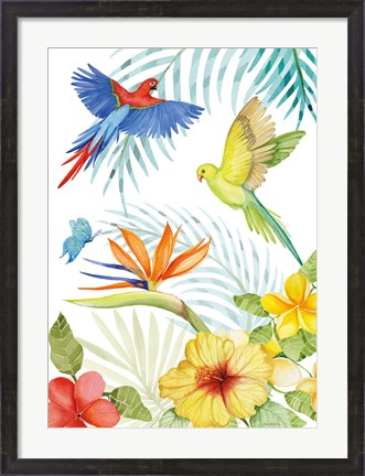 Framed Treasures of the Tropics II Print