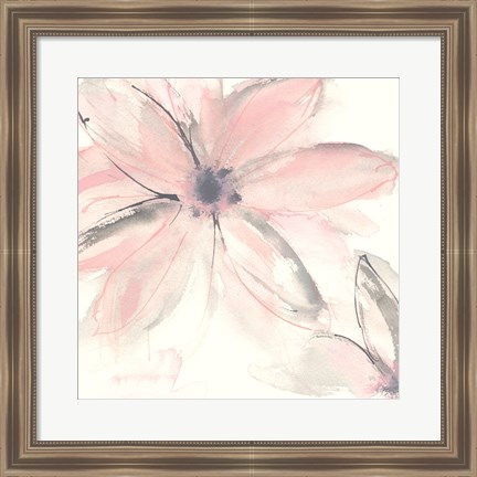 Framed Blush Clematis II Print