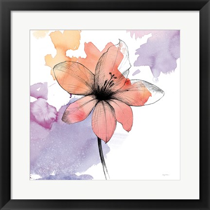 Framed Watercolor Graphite Flower II Print