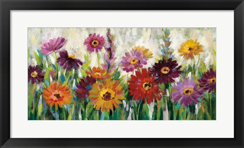 Framed Jewel Daisy Gerbera Print