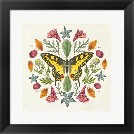 Framed Butterfly Mandala III Print