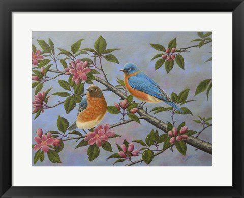 Framed Bluebirds Print