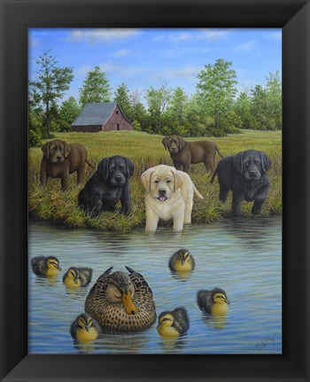 Framed Puppies And Ducklings Print